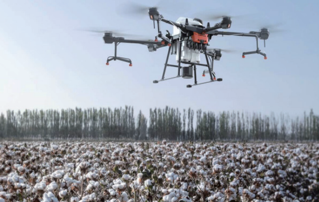 案例一：棉花脱叶剂